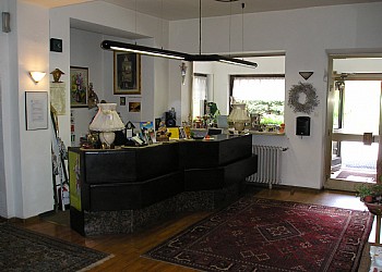 Hotel 2 stars in Moena - Public areas - Photo ID 1196